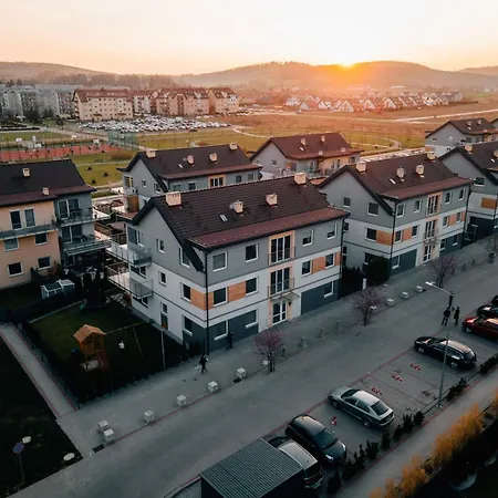 Daisy 2 שויבודזיצה